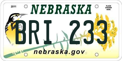 NE license plate BRI233