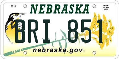 NE license plate BRI851
