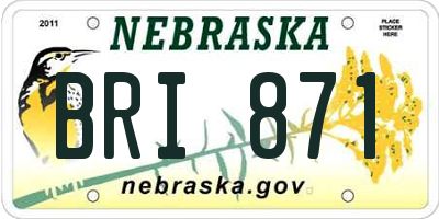NE license plate BRI871