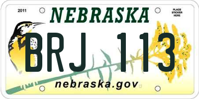NE license plate BRJ113