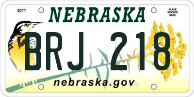 NE license plate BRJ218