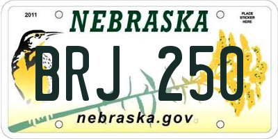 NE license plate BRJ250