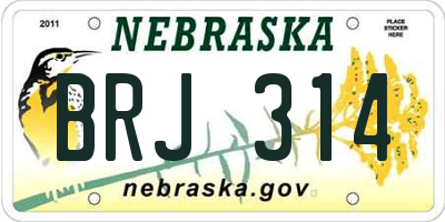 NE license plate BRJ314