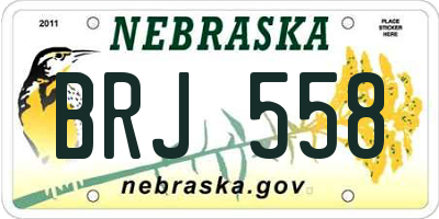 NE license plate BRJ558