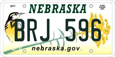 NE license plate BRJ596