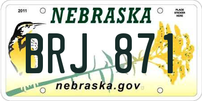 NE license plate BRJ871