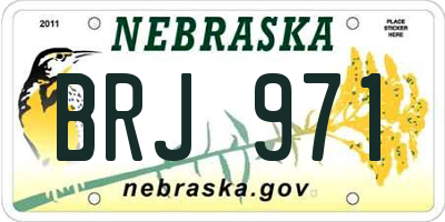 NE license plate BRJ971