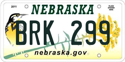 NE license plate BRK299