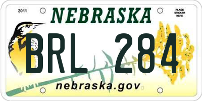 NE license plate BRL284