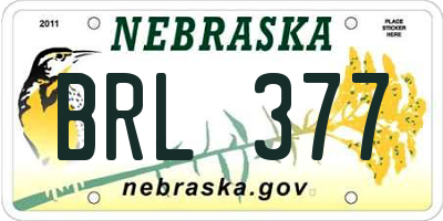 NE license plate BRL377