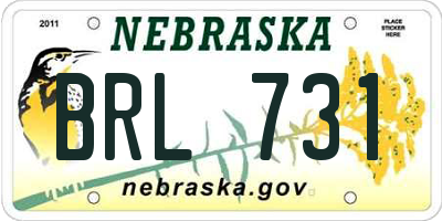 NE license plate BRL731