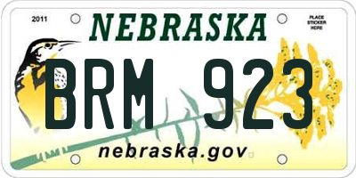NE license plate BRM923