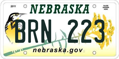 NE license plate BRN223