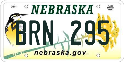 NE license plate BRN295