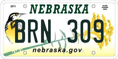 NE license plate BRN309