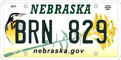 NE license plate BRN829