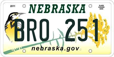 NE license plate BRO251