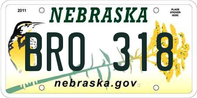 NE license plate BRO318