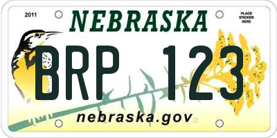 NE license plate BRP123