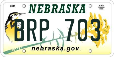 NE license plate BRP703