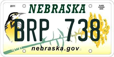 NE license plate BRP738