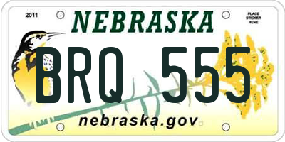 NE license plate BRQ555