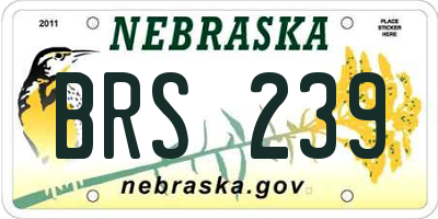 NE license plate BRS239