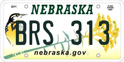 NE license plate BRS313