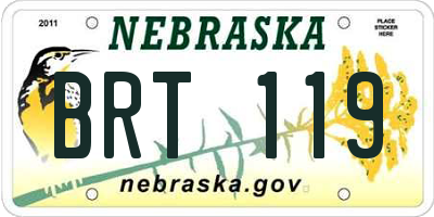 NE license plate BRT119