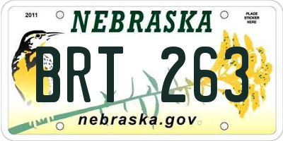 NE license plate BRT263