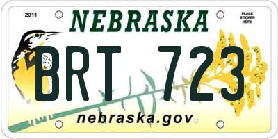 NE license plate BRT723