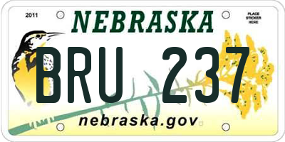 NE license plate BRU237