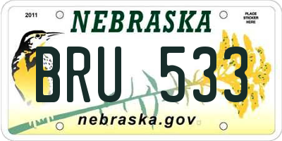 NE license plate BRU533