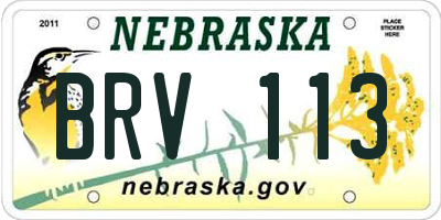 NE license plate BRV113