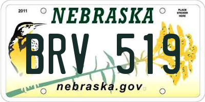 NE license plate BRV519