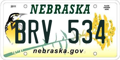 NE license plate BRV534