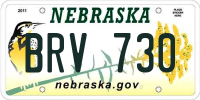 NE license plate BRV730