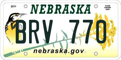 NE license plate BRV770