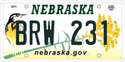 NE license plate BRW231