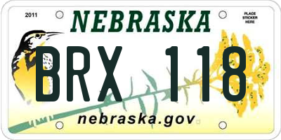 NE license plate BRX118