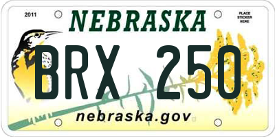 NE license plate BRX250