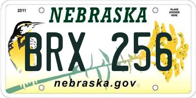 NE license plate BRX256