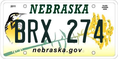NE license plate BRX274