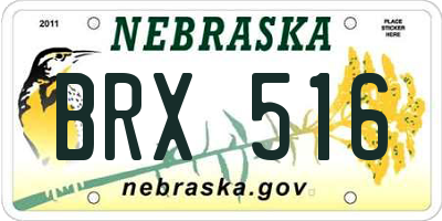 NE license plate BRX516
