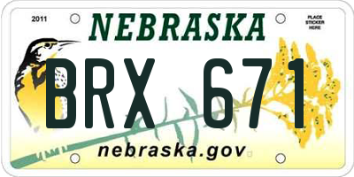 NE license plate BRX671