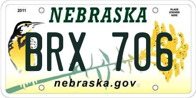 NE license plate BRX706