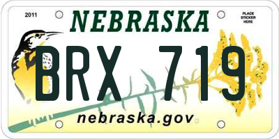NE license plate BRX719