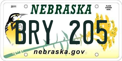 NE license plate BRY205