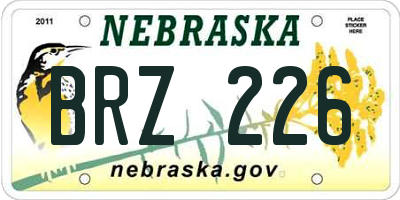 NE license plate BRZ226
