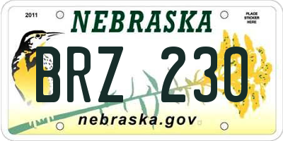 NE license plate BRZ230